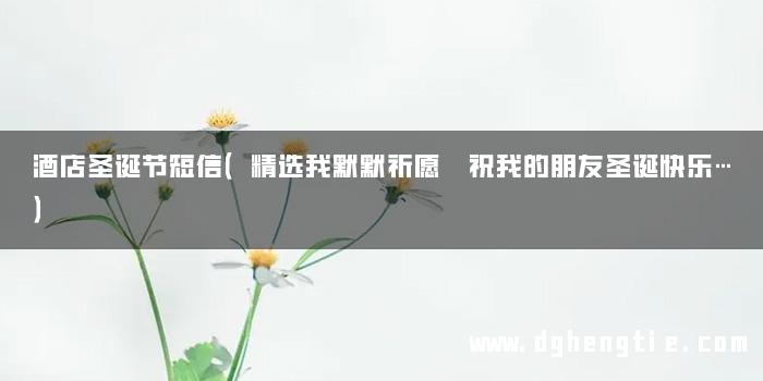 酒店圣诞节短信（精选我默默祈愿 祝我的朋友圣诞快乐…）